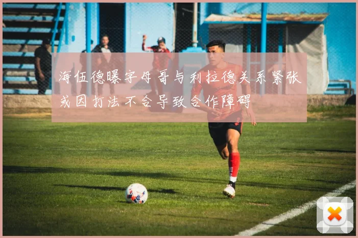 海伍德曝字母哥与利拉德关系紧张或因打法不合导致合作障碍