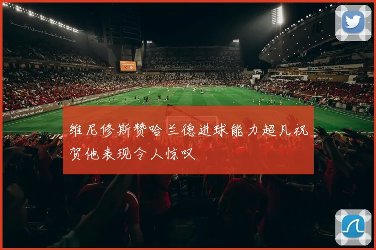 维尼修斯赞哈兰德进球能力超凡祝贺他表现令人惊叹